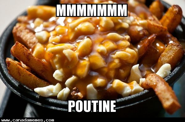 your daily dose of poutine canada memes 1465709177569 your daily dose of poutine canada memes