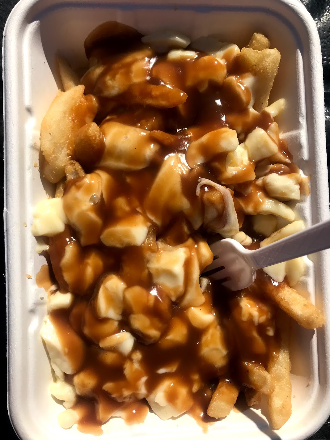 POLL Costco Poutine Yay Or Nay Canada Memes