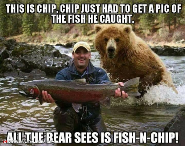 Bears like Fish n Chips - 🇨🇦 Canada Memes