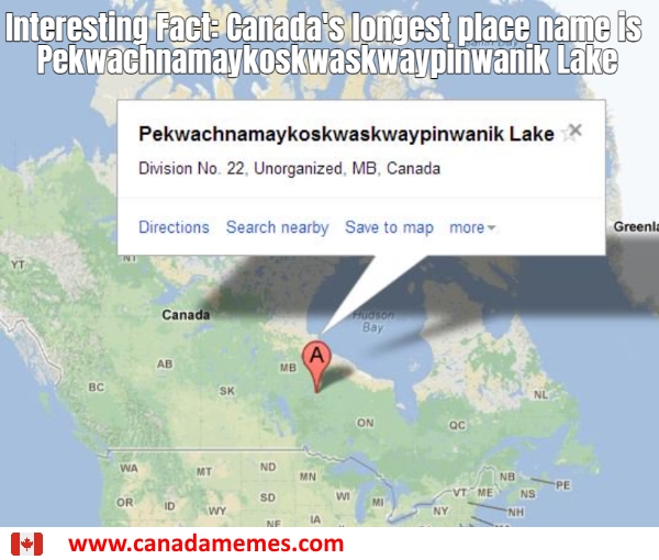 longest name imeme longest name imeme