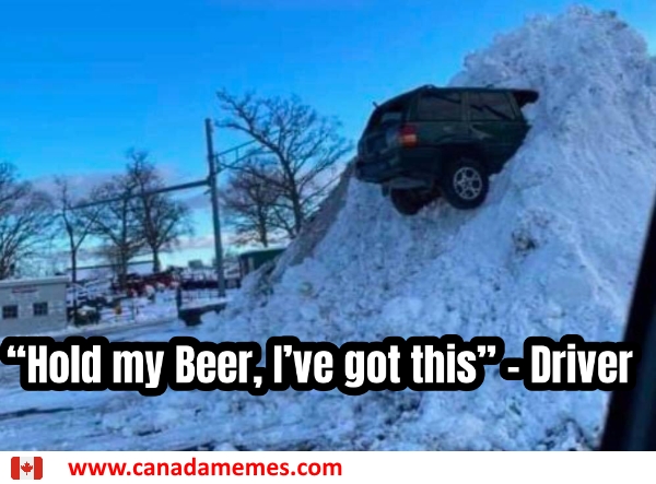 I Have A Feeling This Started Out With The Driver Saying Hold My Beer Canada Memes