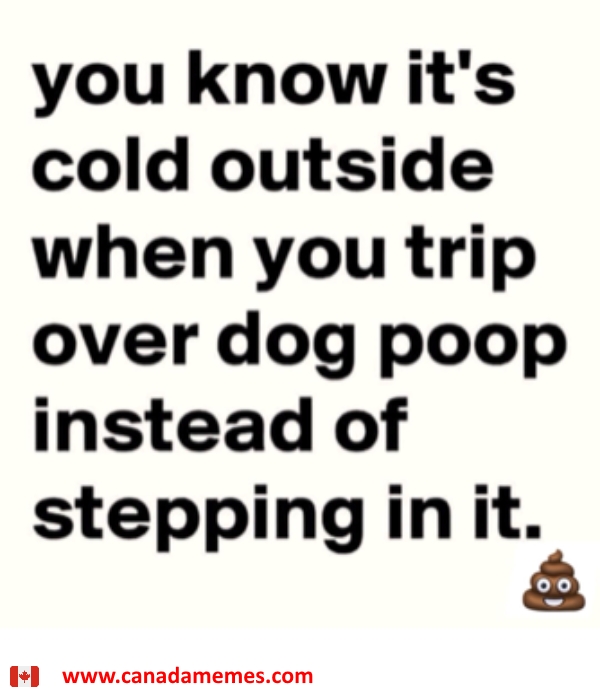 You Know It s Cold Outside When Canada Memes